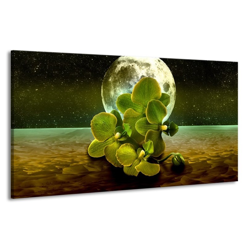 Canvas schilderij Orchidee | Groen, Goud, Bruin | 190x100cm 1Luik