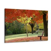 Glas schilderij Park | Oranje, Geel, Groen | 100x70cm 1Luik