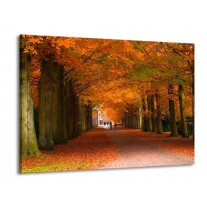 Glas schilderij Herfst | Bruin, Oranje, Groen | 100x70cm 1Luik
