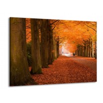 Glas schilderij Herfst | Oranje, Bruin, Groen | 100x70cm 1Luik