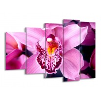 Glas schilderij Orchidee | Paars, Rood, Wit | 150x100cm 5Luik