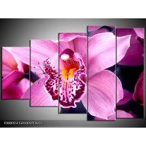 Klok schilderij Orchidee | Paars, Rood, Wit | 150x100cm 5Luik