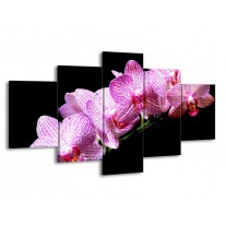 Canvas schilderij Orchidee | Paars, Wit, Zwart | 150x80cm 5Luik