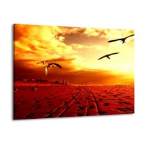 Glas schilderij Vogels | Rood, Geel, Wit | 100x70cm 1Luik