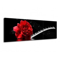 Glas schilderij Roos | Rood, Wit, Zwart | 120x40cm 3Luik