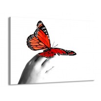 Glas schilderij Vlinder | Rood, Wit, Zwart | 100x70cm 1Luik