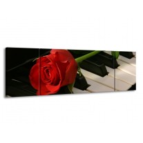 Glas schilderij Roos | Rood, Rood, Zwart | 170x50cm 3Luik