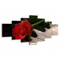 Glas schilderij Roos | Rood, Rood, Zwart | 210x100cm 7Luik