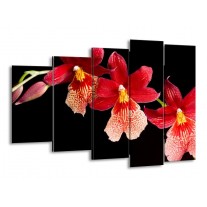 Glas schilderij Bloem | Rood, Zwart, Geel | 150x100cm 5Luik