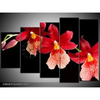 Klok schilderij Bloem | Rood, Zwart, Geel | 150x100cm 5Luik