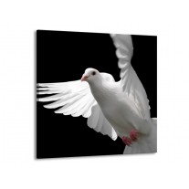 Canvas schilderij Vogel | Wit, Zwart, Grijs | 50x50cm 1Luik