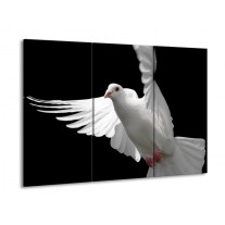 Glas schilderij Vogel | Wit, Zwart, Grijs | 90x60cm 3Luik