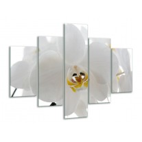 Glas schilderij Orchidee | Wit, Geel,, Zwart | 100x70cm 5Luik