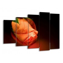 Glas schilderij Roos | Oranje, Zwart, Groen | 150x100cm 5Luik