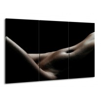 Glas schilderij Lichaam | Zwart, Wit, Bruin | 165x100cm 3Luik