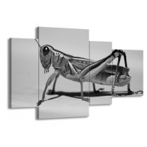 Glas schilderij Sprinkhaan | Grijs, Zilver, Wit | 120x75cm 4Luik