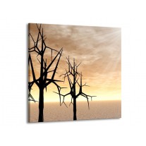 Glas schilderij Bomen | Zwart, Geel | 50x50cm 1Luik