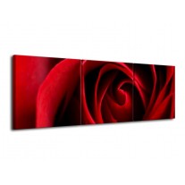 Glas schilderij Roos | Rood, Zwart | 120x40cm 3Luik