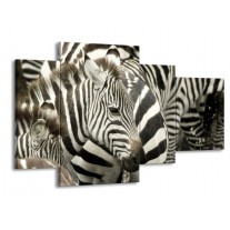 Glas schilderij Zebra | Zwart, Wit, Grijs | 120x75cm 4Luik