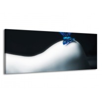Glas schilderij Vlinder | Blauw, Wit, Zwart | 145x58cm 1Luik