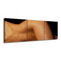 Canvas schilderij Lichaam | Zwart, Bruin | 120x40cm 3Luik
