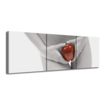 Glas schilderij Appel | Rood, Grijs, Wit | 120x40cm 3Luik