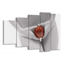 Canvas schilderij Appel | Rood, Grijs, Wit | 150x100cm 5Luik