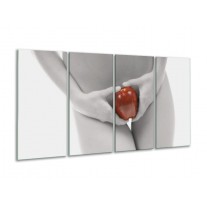 Glas schilderij Appel | Rood, Grijs, Wit | 160x80cm 4Luik