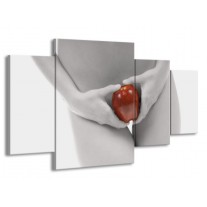 Canvas schilderij Appel | Rood, Grijs, Wit | 160x90cm 4Luik