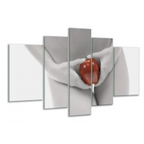 Glas schilderij Appel | Rood, Grijs, Wit | 170x100cm 5Luik