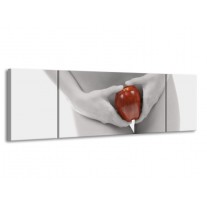 Canvas schilderij Appel | Rood, Grijs, Wit | 170x50cm 3Luik