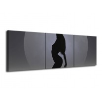 Glas schilderij Vrouw | Zwart, Grijs, Wit | 120x40cm 3Luik