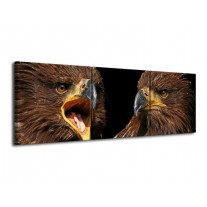 Glas schilderij Vogels | Geel, Bruin, Zwart | 120x40cm 3Luik