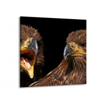 Canvas schilderij Vogels | Geel, Bruin, Zwart | 50x50cm 1Luik