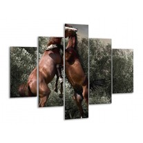 Glas schilderij Paarden | Bruin, Grijs | 100x70cm 5Luik