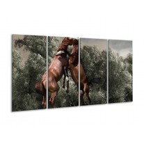 Glas schilderij Paarden | Bruin, Grijs | 160x80cm 4Luik