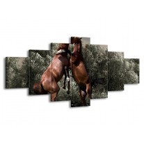 Canvas schilderij Paarden | Bruin, Grijs | 210x100cm 7Luik