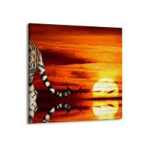 Glas schilderij Tijger | Bruin, Oranje, Rood | 70x70cm 1Luik