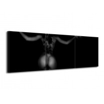 Glas schilderij Vrouw | Zwart, Grijs | 150x50cm 3Luik