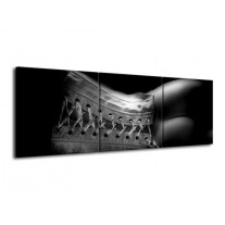 Canvas schilderij Lichaam | Grijs, Zwart, Wit | 120x40cm 3Luik