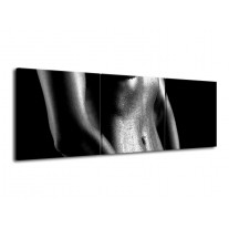Glas schilderij Lichaam | Grijs, Zwart, Wit | 120x40cm 3Luik
