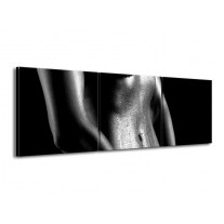 Glas schilderij Lichaam | Grijs, Zwart, Wit | 150x50cm 3Luik