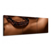 Canvas schilderij Slang | Bruin, Zwart | 120x40cm 3Luik
