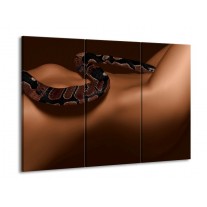 Glas schilderij Slang | Bruin, Zwart | 90x60cm 3Luik