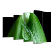 Glas schilderij Druppels | Groen, Zwart | 150x100cm 5Luik