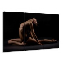 Glas schilderij Vrouw | Bruin, Zwart | 165x100cm 3Luik