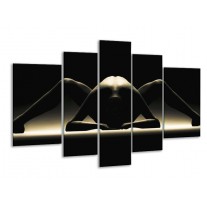 Glas schilderij Lichaam | Zwart, Wit | 170x100cm 5Luik