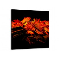 Canvas schilderij Herfstblad | Rood, Zwart, Oranje | 50x50cm 1Luik