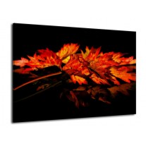 Glas schilderij Herfstblad | Rood, Zwart, Oranje | 70x50cm 1Luik
