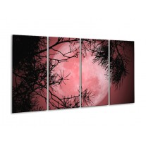 Glas schilderij Maan | Zwart, Paars, Rood | 160x80cm 4Luik